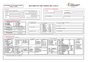 ficha_suelo_anverso